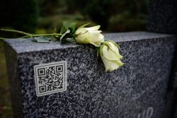Servicio QR - Imagen 3